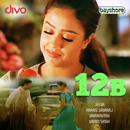 12 B