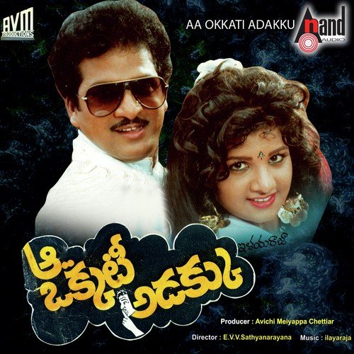Aa Okkati Adakku