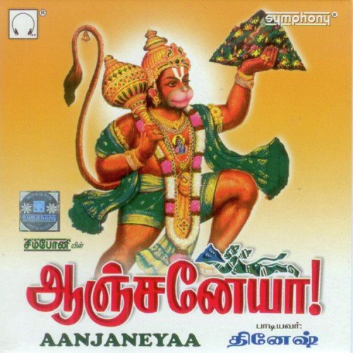 Vaanamathil