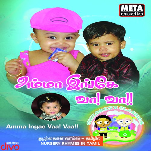 Chittae Chittae Paranthu Vaa