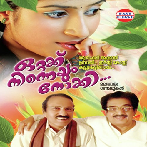 Sheriyethu Thettethu