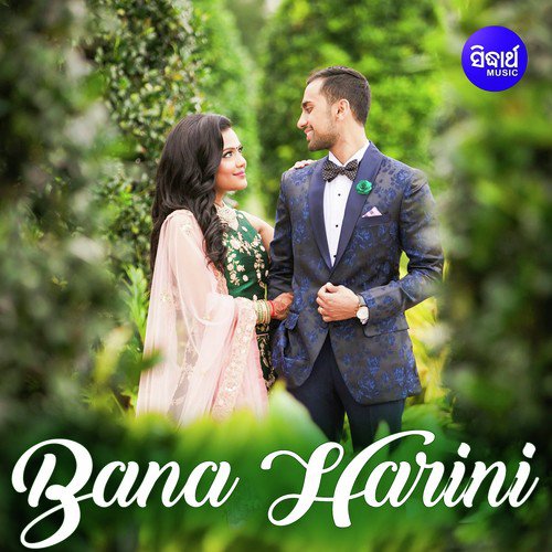 Bana Harini