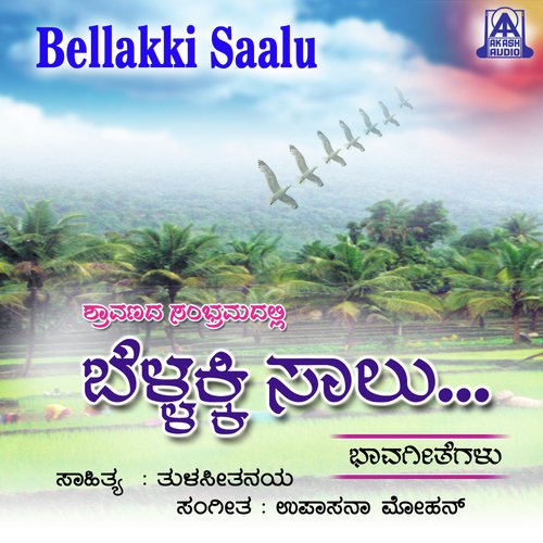 Bellakki Saalu