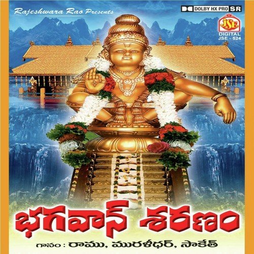 Bhagavan Saranam