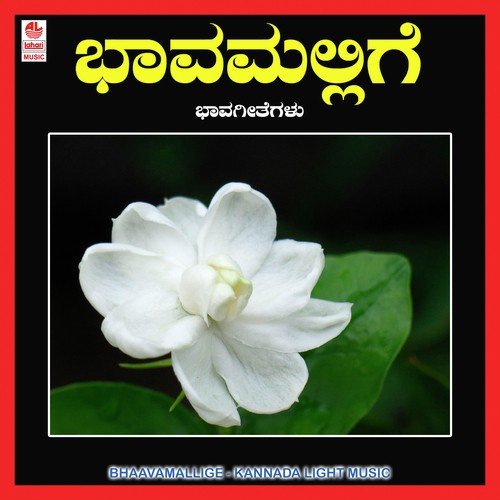 Bhava Mallige