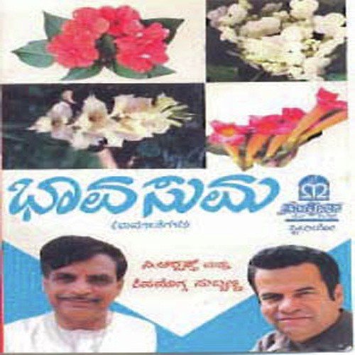 Chenne Ninna