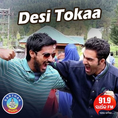 Desi Tokaa Mo Dil Chokha