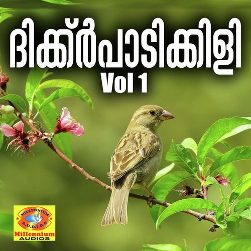 Dikkarpadikili, Vol. 1