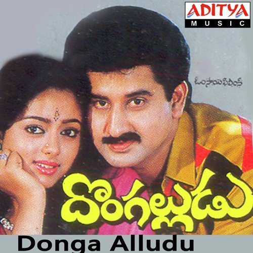 Donga Alludu
