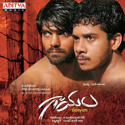 Gaayam