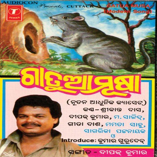 A Marutibalee