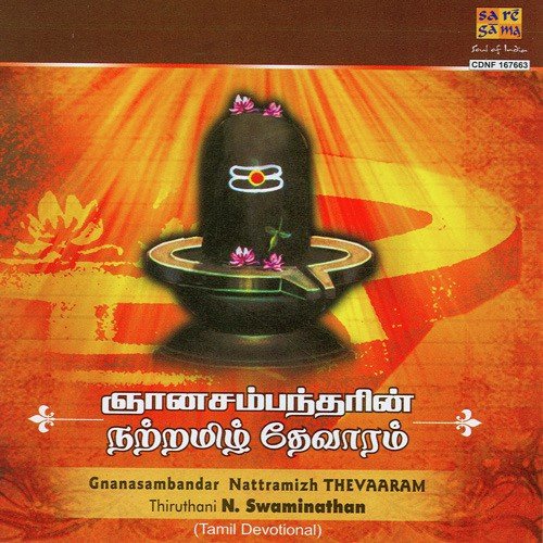 Saarandavarkku