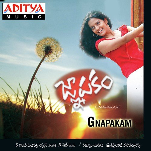 Gnapakam