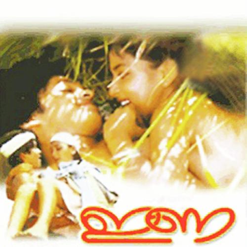 Araliponkaadukal