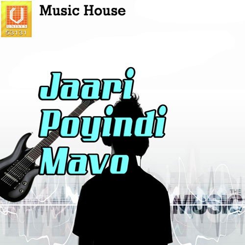 Jaari Poyindi Mavo