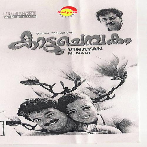 Kaattuchembakam
