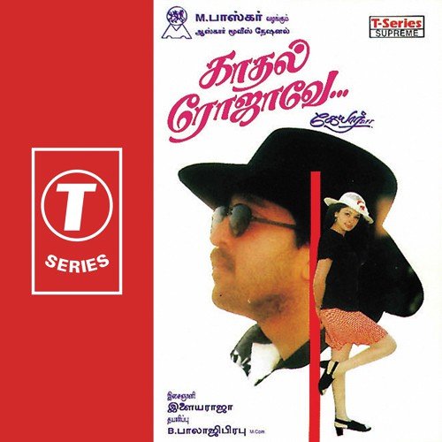 Kadal Rojave