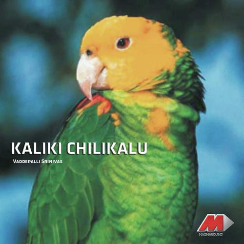 Kaliki Chilukalu