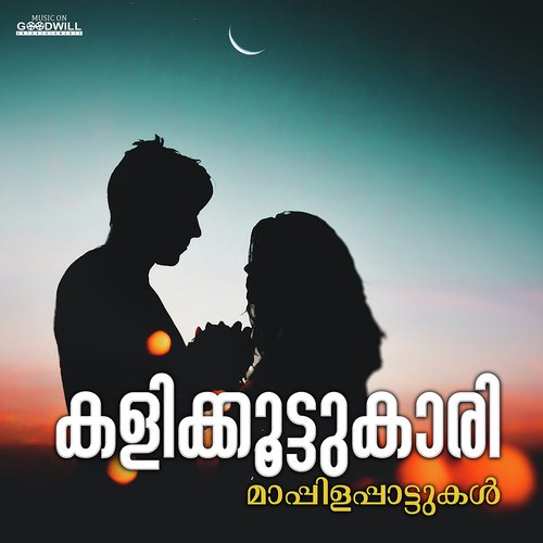 Kalikkootukaari