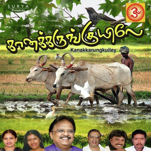 Kanakkarungkuiley