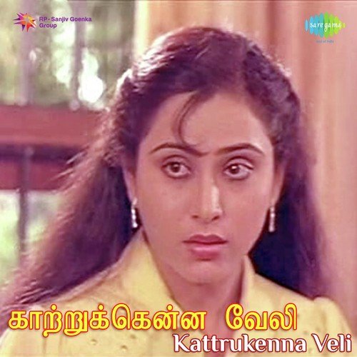 Chinna Chinna Megam