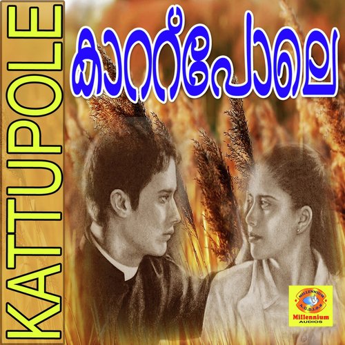 Kattu Pole