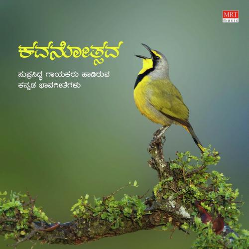 Kavanotsava
