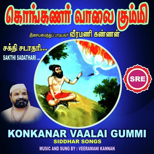 Sathi Sadaathari
