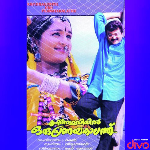 Krishnagudiyil Oru Pranayakalathu
