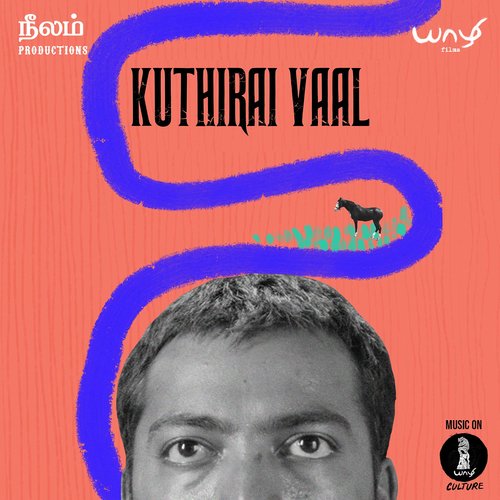 Kuthiraivaal