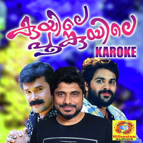 Thwalaalbadaru (Karaoke Version)
