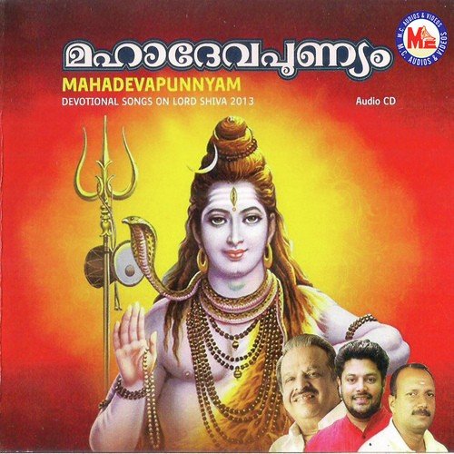Mahaadevapunyam