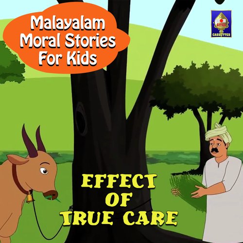 Effect Of True Care