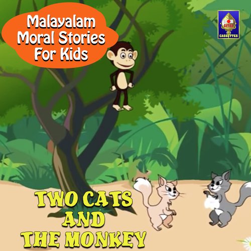 Two Cats And The Monkey