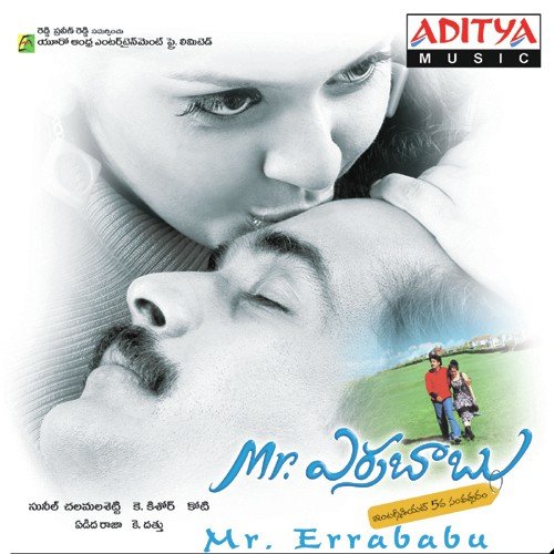 Mr. Errababu