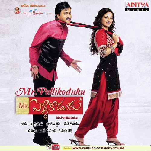 Mr. Pellikoduku