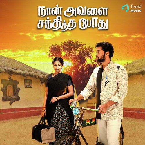 Naan Avalai Santhitha Pothu