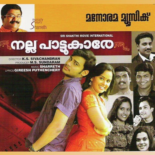 Nallapaattukare