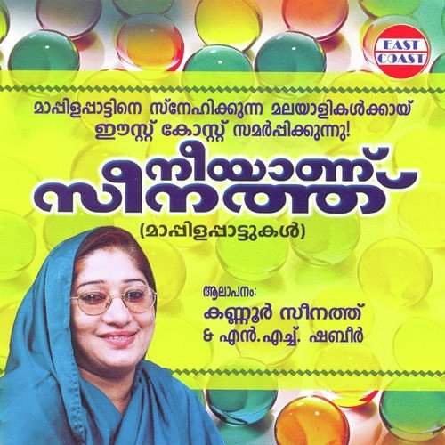Neeyanu Seenathu