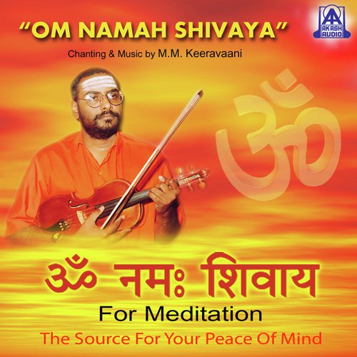 Om Namah Shivaya