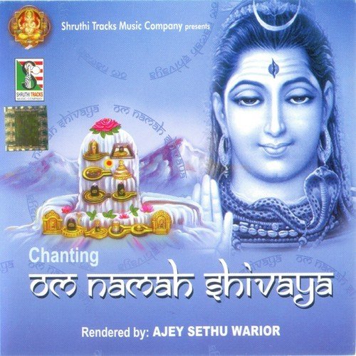 Om Namah Shivaya
