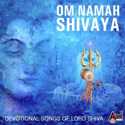 Om Namah Shivaya