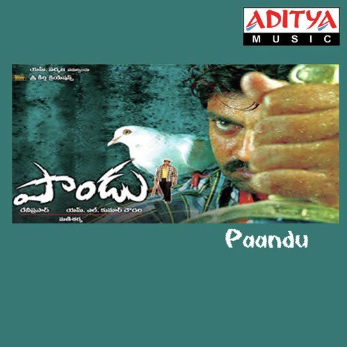 Paandu