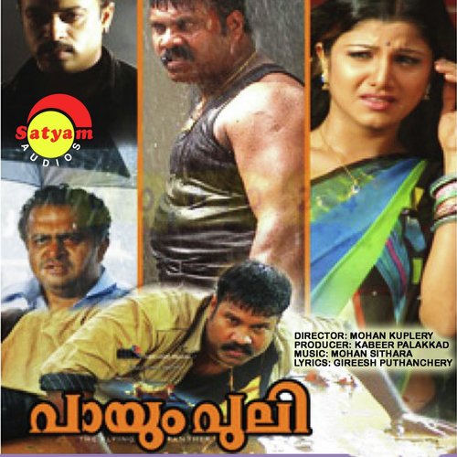 Paayum Puli