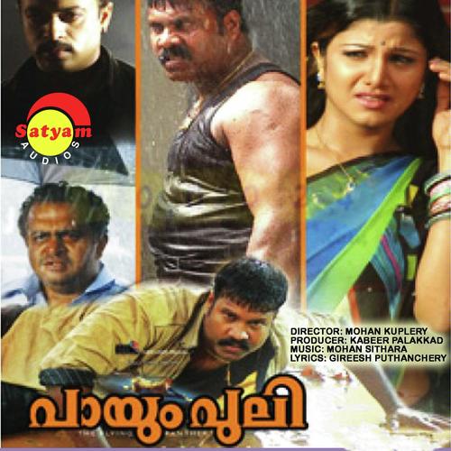 Paayum Puli