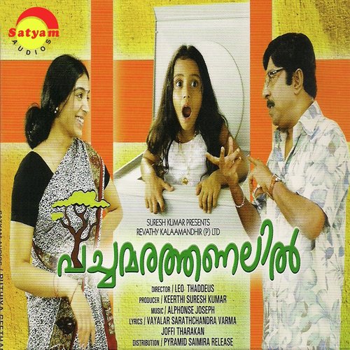 Pachamarathanalil