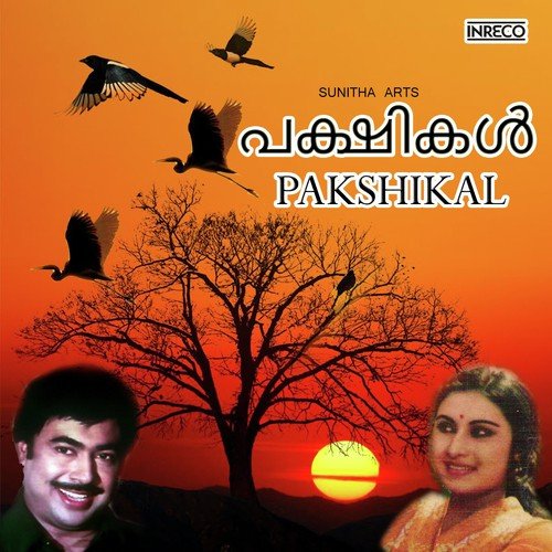 Nandiyar Vattathin
