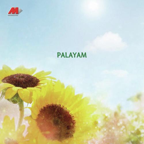 Palayam