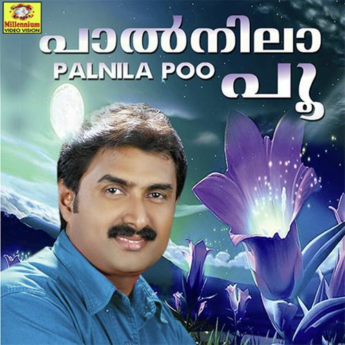 Palnilapoo