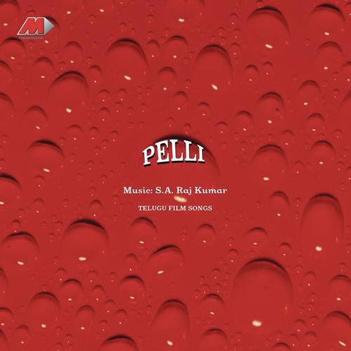 Pelli